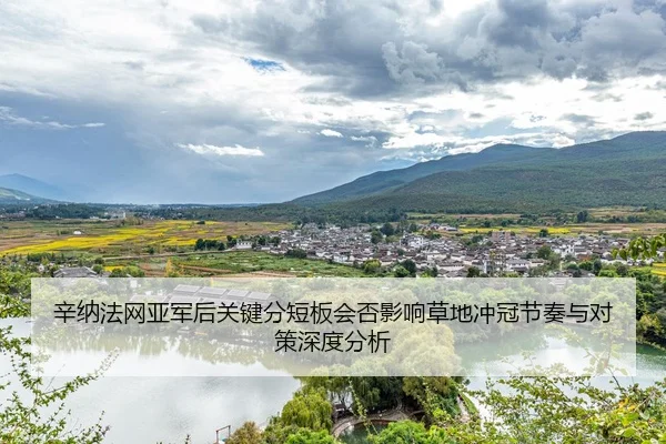 辛纳法网亚军后关键分短板会否影响草地冲冠节奏与对策深度分析