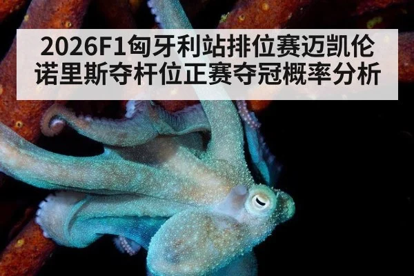 2026F1匈牙利站排位赛迈凯伦诺里斯夺杆位正赛夺冠概率分析